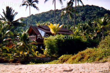 Coconut Laguna 17